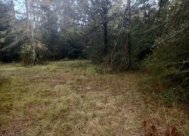 Property at 0 George Mitchell Rd, Carriere, MS 39426