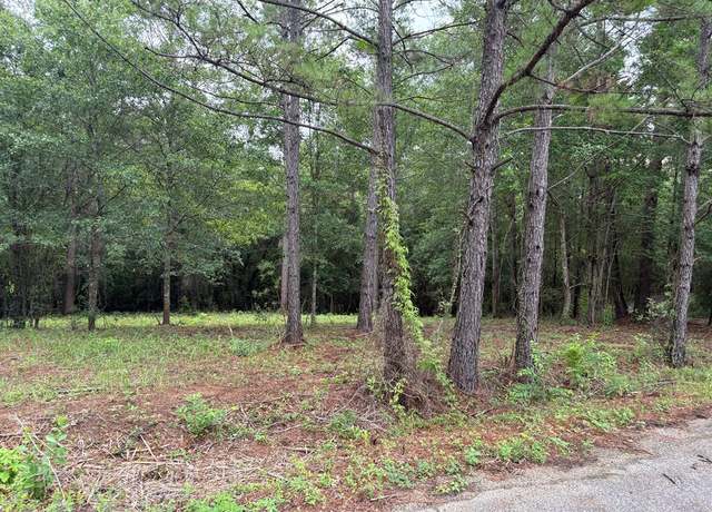 Property at 13 Pocahontas Ln, Carriere, MS 39426