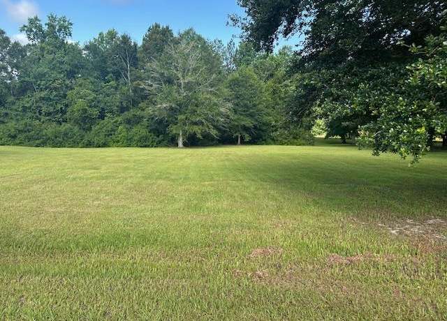 Property at NHN North Hill Drive, Lot 17a, Carriere, MS 39466