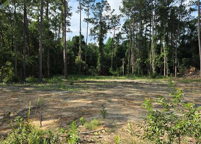 Property at 80 Lakeside Dr, Carriere, MS 39426