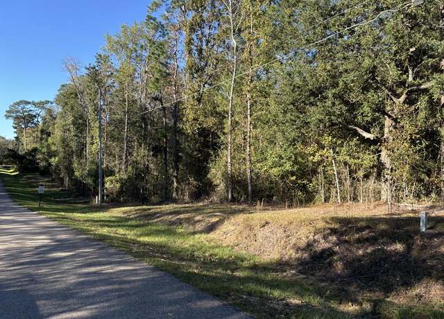 Property at 0 Ridgeview Dr, Carriere, MS 39426