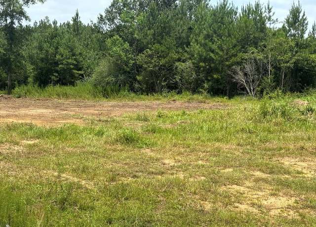 Property at NHN Robert Rhodes Rd Parcel 2, Poplarville, MS 39470