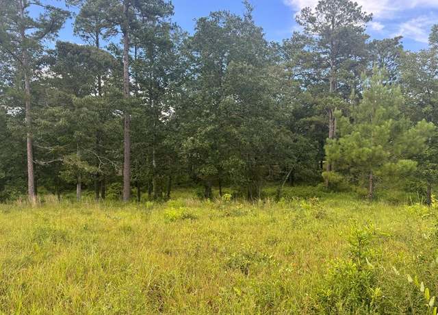 Property at 0 George Ford Rd, Carriere, MS 39426