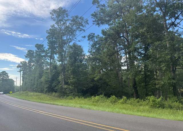 Property at 0 George Ford Rd, Carriere, MS 39426