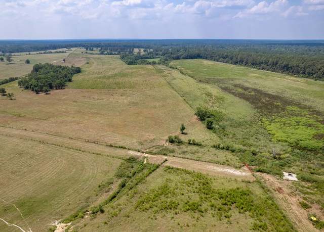Property at NHN Osborn Moody Rd, Poplarville, MS 39470