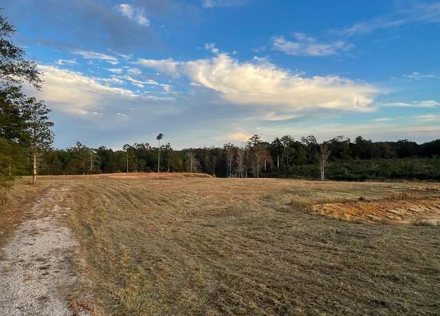 Property at 0000 Sones Chapel Rd, Carriere, MS 39426
