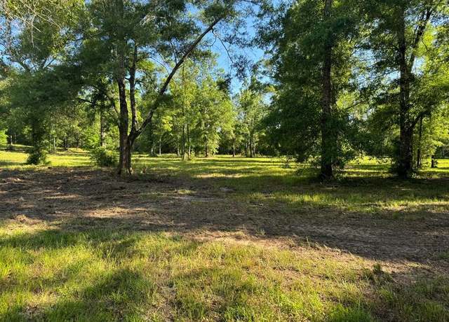 Property at T4 Blackberry Holw, Carriere, MS 39426