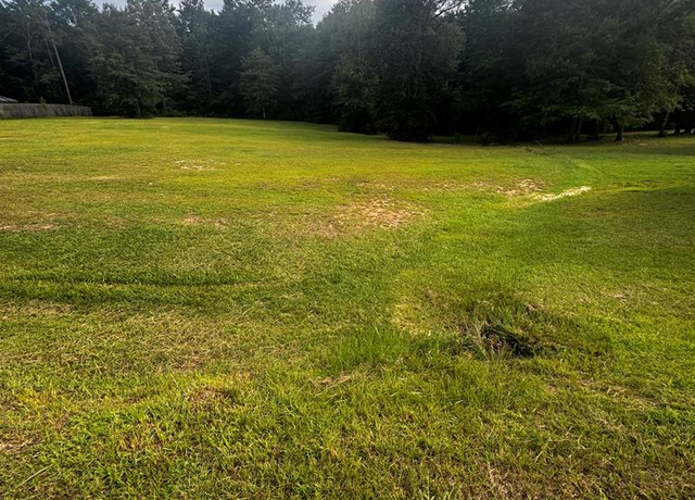 Property at NHN Chinaberry Cir, Carriere, MS 39426