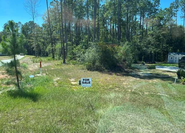 Property at NHN Moss Cir, Carriere, MS 39426
