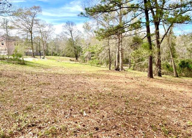 Property at NHN Rue St Germaine, Carriere, MS 39426