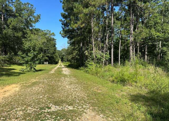 Property at 0 Slade Woodward, Poplarville, MS 39470