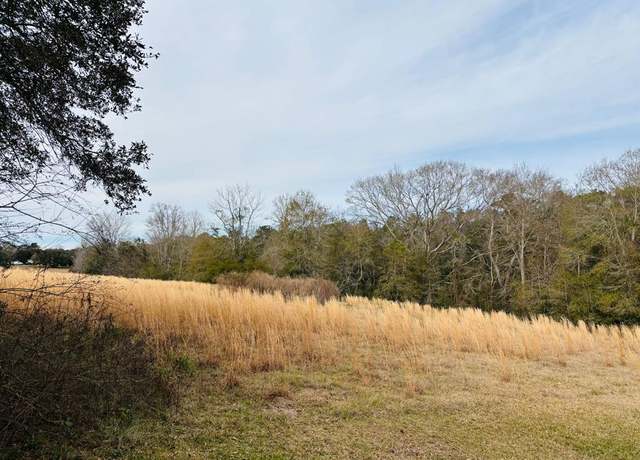 Property at 0 Leanne Dr Lot 34, Carriere, MS 39426
