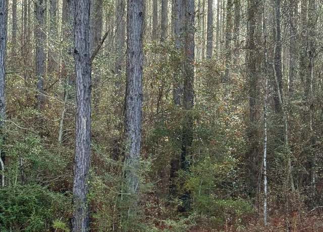 Property at 0 Sunnybrook Rd Lot 1443, Carriere, MS 39426