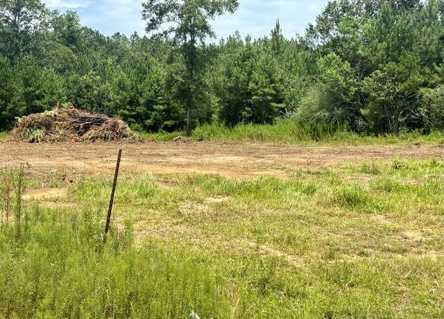 Property at NHN Robert Rhodes Rd Parcel 1, Poplarville, MS 39470