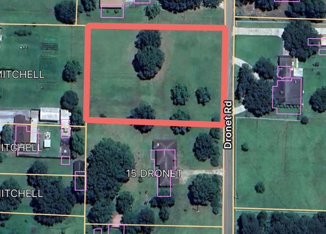 Property at NHN Dronet Rd, Carriere, MS 39426