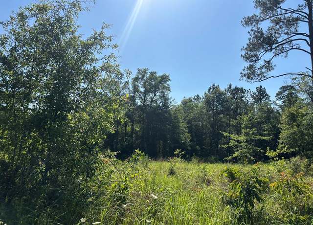 Property at NHN Robert Rhodes Rd, Poplarville, MS 39470