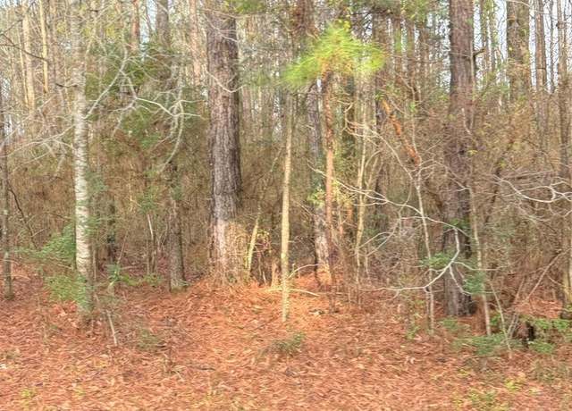 Property at 0 Hideaway Lane Lot 295, Carriere, MS 39426