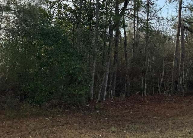 Property at 0 Hideaway Lane Lot 296, Carriere, MS 39426
