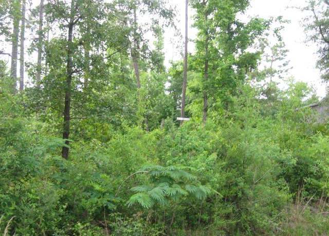 Property at 0 Hideaway Lane Lot 411, Carriere, MS 39426