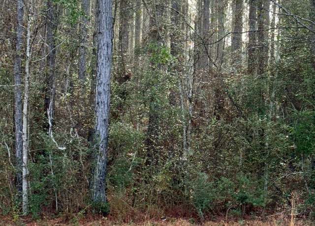 Property at 0 Hideaway Lane Lot 412, Carriere, MS 39426