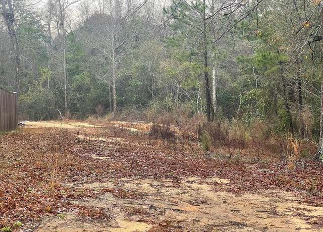 Property at 205 & 207 Rue St Germaine, Carriere, MS 39426