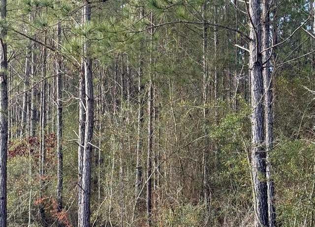 Property at 0 Glenwood Dr Lot 444, Carriere, MS 39426