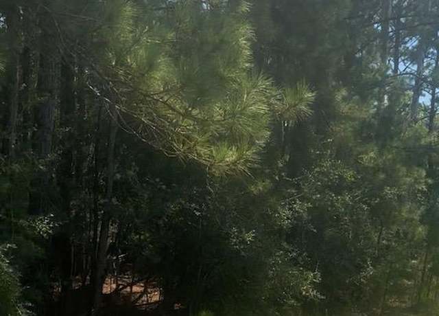 Property at NHN Mint Julep Airpark, Perkinston, MS 39573