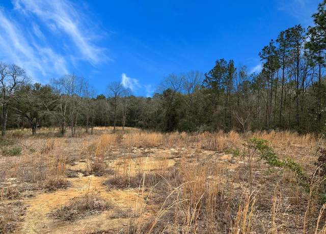 Property at 48 Crazy Tree Dr, Carriere, MS 39426