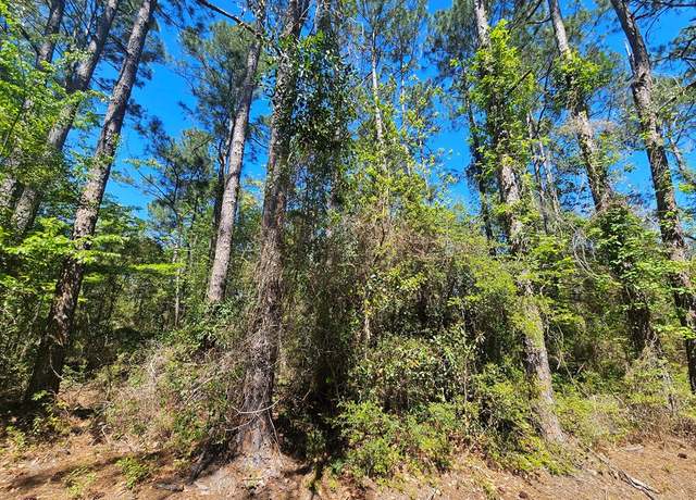 Property at NHN E Carroll St, Bay St Louis, MS 39521
