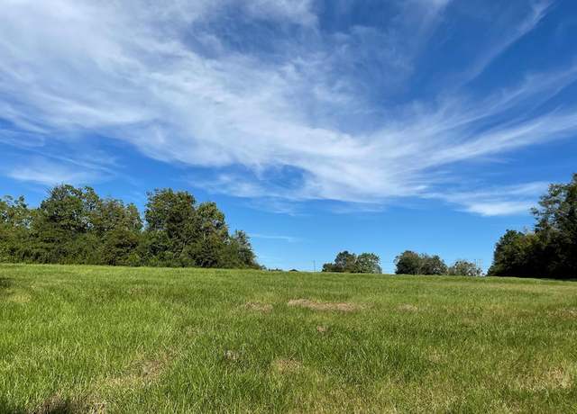 Property at Lot 2 Ceasar Rd, Carriere, MS 39426