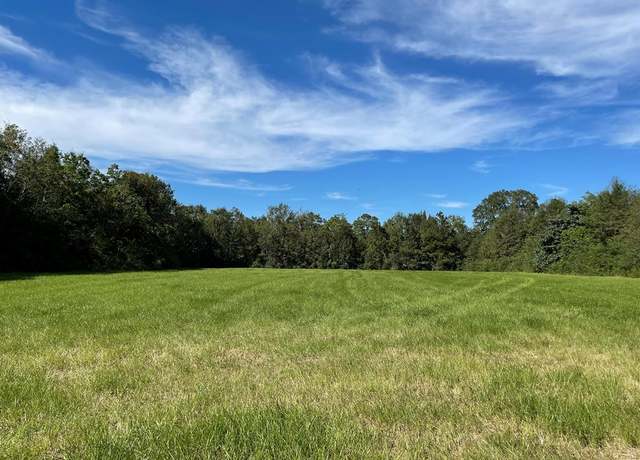 Property at NHN Ceasar Rd, Carriere, MS 39466