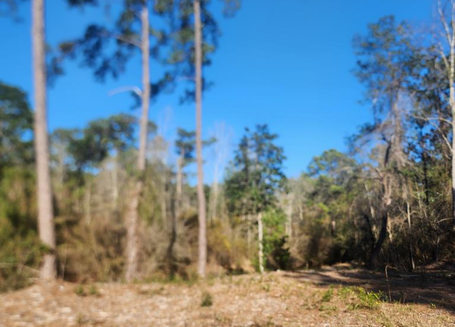 Property at NHN Lakeside Dr, Carriere, MS 39426