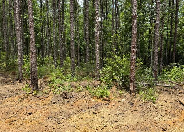 Property at 00 Tract # 10 Burgetown Rd, Carriere, MS 39426
