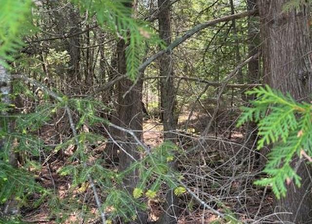 Property at Larson Ln, Ephraim, WI 54211