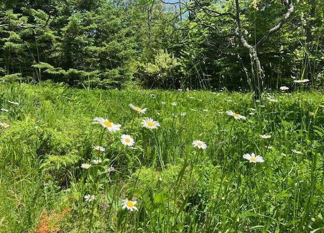 Property at N Coral Hill Rd, Ephraim, WI 54211