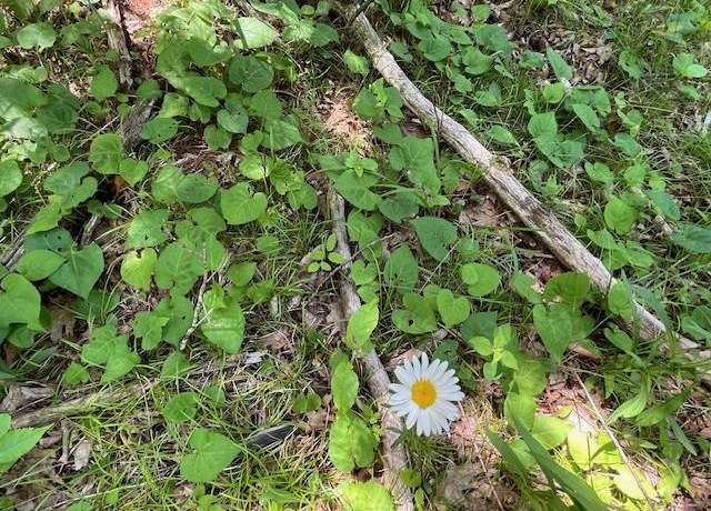 Property at Lot 28 Fawn Ln, Ellison Bay, WI 54210