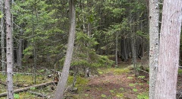 Photo of Bues Point Rd, Baileys Harbor, WI 54202