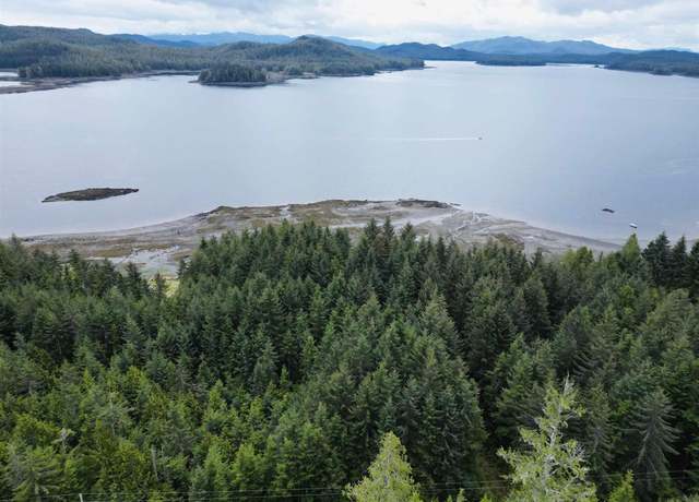 Property at L3A & 3B No Street Given, Whale Pass, AK 99950
