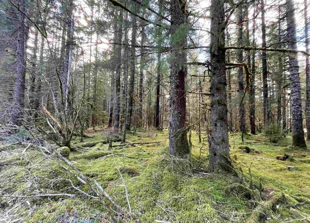 Property at Legal Address Only Lot 8, Block B, Pine Wood, Gustavus, AK 99836