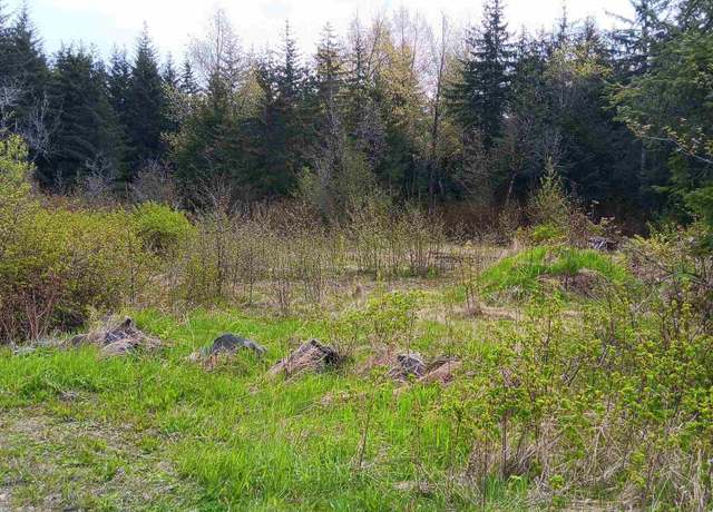 Property at NHN Sawmill Creek Rd Unit USS 785 Lots 11A&11B, Haines, AK 99801