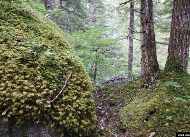 Property at 1031 Lutak Beach Rd, Haines, AK 99827