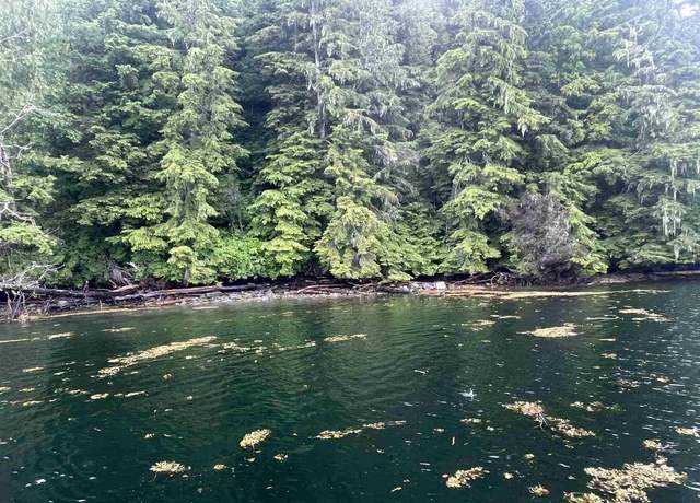Property at NHN Legal Address Only Lot 18, West Channel, Pen, Ketchikan, AK 99901