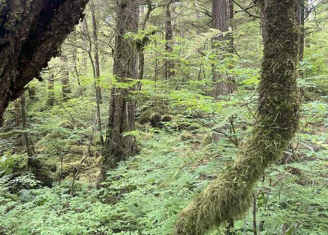Property at L11 Bunchberry Ln, Ketchikan, AK 99901