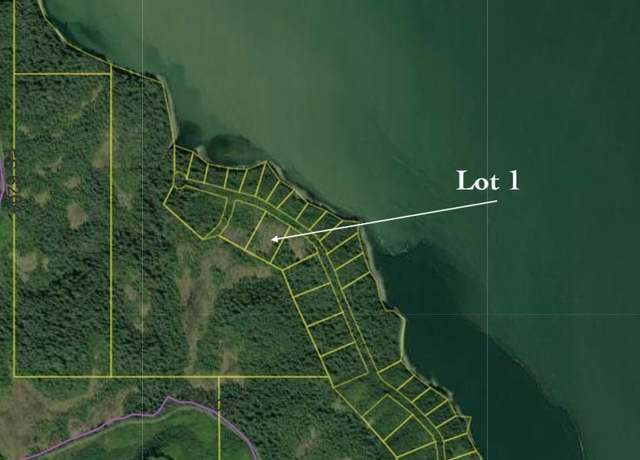 Property at Lot 1 Fredrick Pt, Petersburg, AK 99833