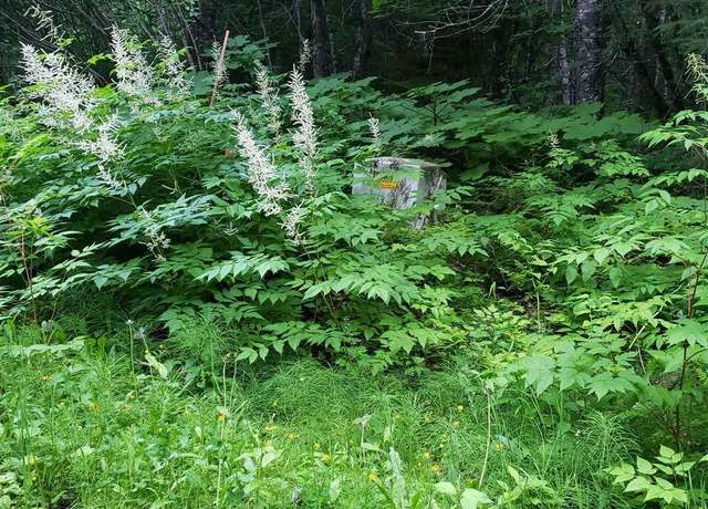 Property at nhn Skedadle Rd Lot 9 North Chilkat Subdi, Haines, AK 99827