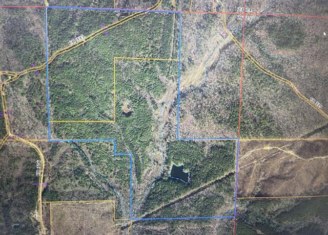 Property at CR 335, Rienzi, MS 38865