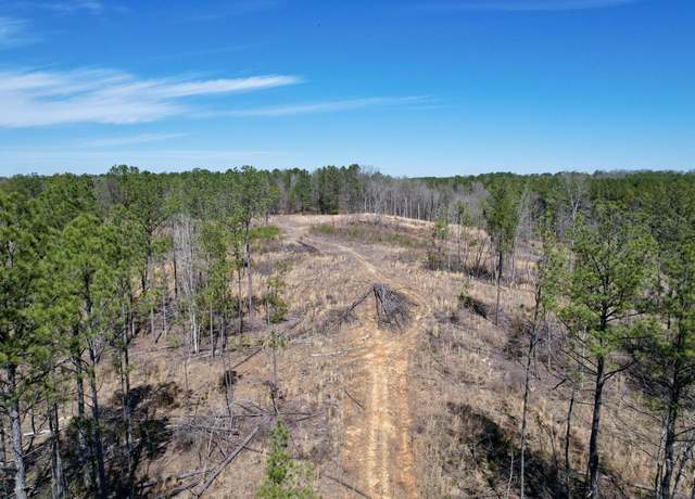 Property at (+/- 45.02 Acres) CR 4130, New Site, MS 38859
