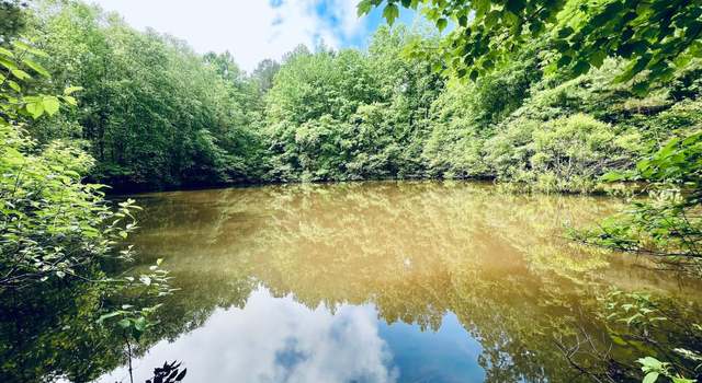 Photo of Ms-356, Burnsville, MS 38833