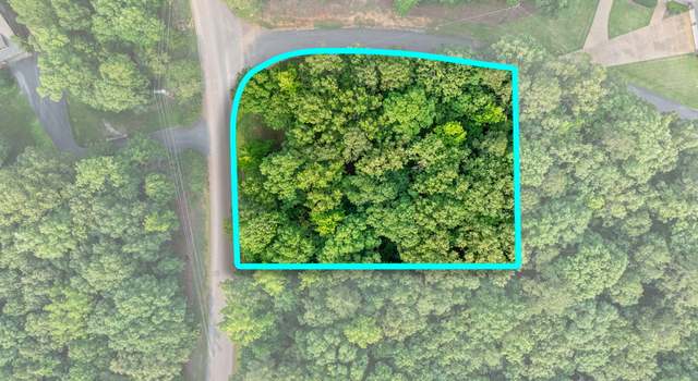 Photo of Lot 178 Sandpiper Pt, Counce, TN 38326
