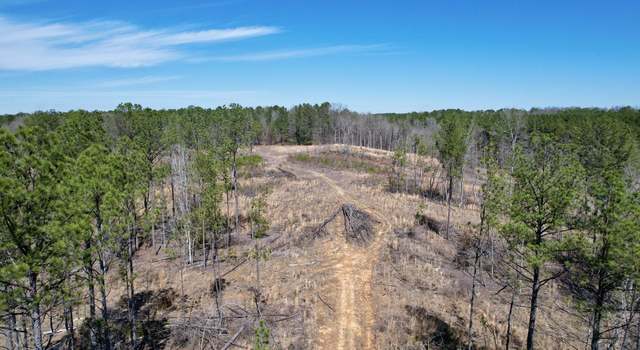 Photo of (+/- 45.02 Acres) CR 4130, New Site, MS 38859